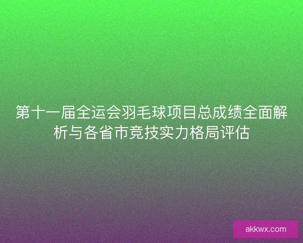 第十一届全运会羽毛球项目总成绩全面解析与各省市竞技实力格局评估