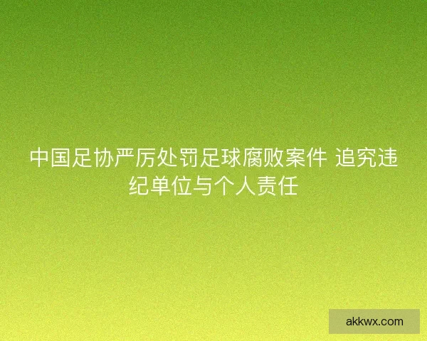 中国足协严厉处罚足球腐败案件 追究违纪单位与个人责任